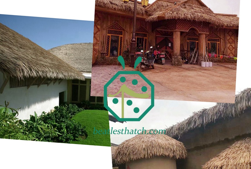 How to Build A Tiki Hut Thatched Roof Building