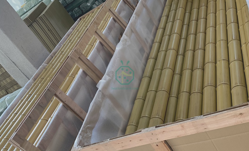 Natural plastic bamboo sticks products