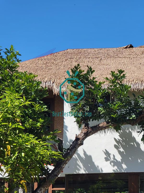 Nipa Thatch Roof Installation in Laguna, Philippines