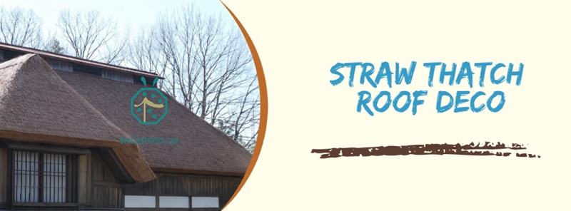 Straw Thatch Roofing Material