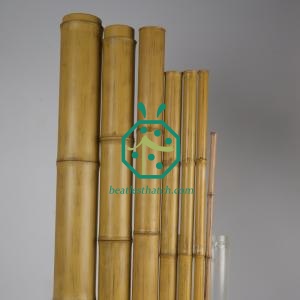 Customizable Sizes and Styles for Your Synthetic Bamboo Fence