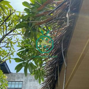 Synthetic Granary Thatch Roof Manufacturer for Italy