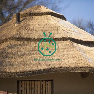 UV-Proof Artificial Water Reed Thatch Roofing Material