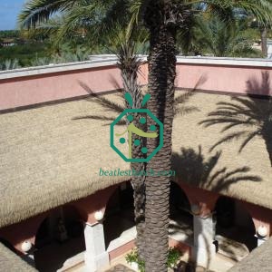 Eco-Friendly Reed Thatch Roofing System for Safari Lodges
