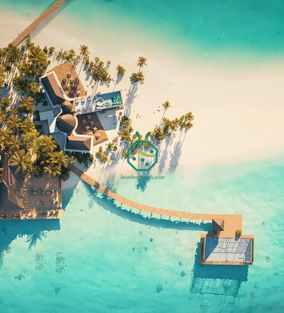 モルディブの到着パビリオンの模造カジャン茅葺き屋根装飾