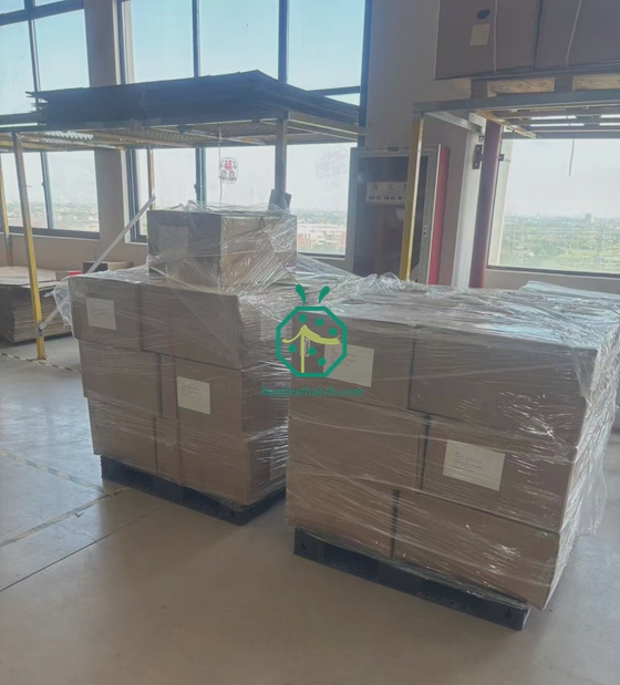 セイシェル諸島のファイバー屋根材とプライバシースクリーンの出荷