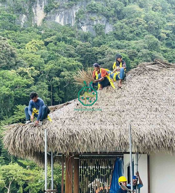 フィリピンの耐火ニパ小屋の茅葺き屋根建設